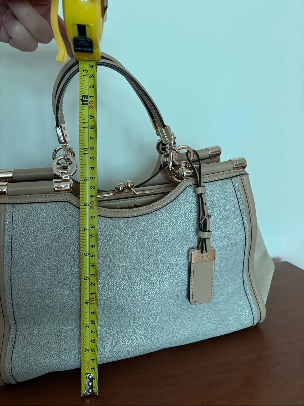 COACH Madison Pinnacle Caroline Satchel in Embossed Texture Leather and Sued